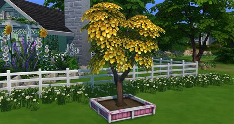 sims 4 money tree|sims 4 money tree planting.